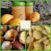 Birnen-Gsälz (Gsälz = Marmelade) – Schwäbischer Genuss aus dem Glass
