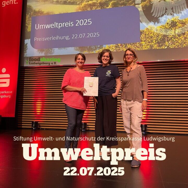 Preisverleihung Umweltpreis Ludwigsburg 2025